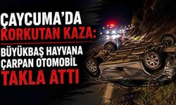 Çaycuma’da korkutan kaza: Büyükbaş hayvana çarpan otomobil takla attı