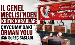 İl Genel Meclisi’nden kritik kararlar:  Çaycuma’daki orman yolu için süreç başladı