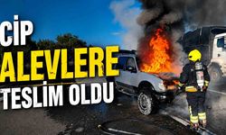 TEM Otoyolu’nda cip alevlere teslim oldu