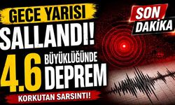 Gece Yarısı Sallandı! 4.6 Büyüklüğünde Deprem