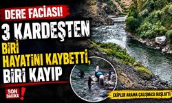 Dereye giren 3 kardeşten biri hayatını kaybetti, diğerini ise baba kurtardı