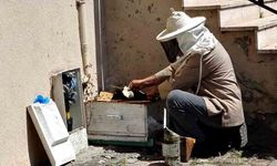 Doğal Gaz Kutusunda Şaşırtan Görüntü: Bal Arıları Yuva Yaptı