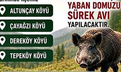 Domuz sürek avı uyarısı: 4 köyde vatandaşlara dikkatli olun çağrısı