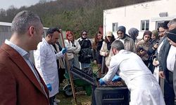 Düzce Üniversitesi’nden sıfır atıkta örnek projeler