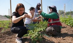 Ata tohumları Düzce'de toprakla buluştu