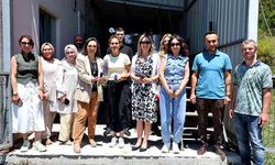 Düzce'de Lavantalar Katma Değerli Ürüne Dönüşüyor