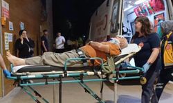 Erik toplamak için çıktığı ağaçtan düşerek yaralandı