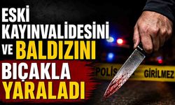 Eski kayınvalidesini ve baldızını bıçakla yaraladı