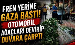 Fren yerine gaza bastı! Otomobil ağaçları devirip duvara çarptı