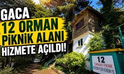 Gaca “12 Orman Piknik Alanı" hizmete açıldı!