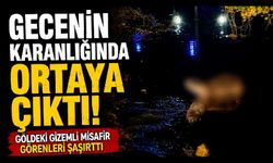 Gece saatlerinde göl kıyısında su samuru görüntülendi