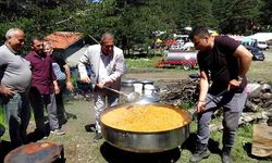 Geleneksel Şimşir bayramı düzenlendi