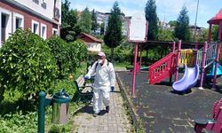 Gökçebey Belediyesi ilaçlama çalışmalarına devam ediyor