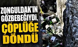 Zonguldak'ın Gözbebeğiydi, Çöplüğe Döndü
