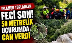 Ihlamur toplamaya gitti, uçurumdan düşerek hayatını kaybetti