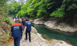 Ordu'da ırmağa düşen şahıs hayatını kaybetti