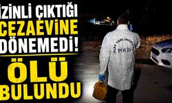 Cezaevinden izinli çıkan şahıs boş arazide ölü bulundu