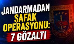 Jandarmadan şafak operasyonu: 7 gözaltı