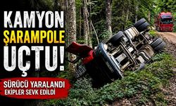 Kamyon şarampole uçtu; Sürücü altında kalıyordu!