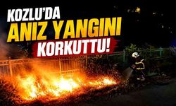 Kozlu'da anız yangını korkuttu! Ekipler yayılmadan kontrol altına aldı...