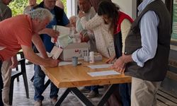 Kahverengi Kokarcaya karşı mücadele aralıksız sürüyor