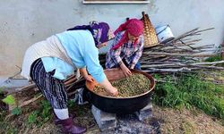 Karadeniz'de dut pekmezi mesaisi başladı: Kazanlar şifa için kaynıyor