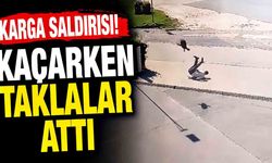 Kargadan Kaçarken Taklalar Attı! O Anlar Kamerada