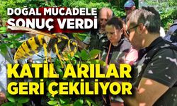 Terminatör Böcekler Sahada! Katil Arılar Geri Çekiliyor
