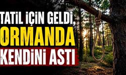 Kayıp olarak aranan Polonyalı ormanlık alanda yaşamına son verdi