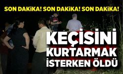 Keçisini kurtarmaya çalışırken hayatını kaybetti