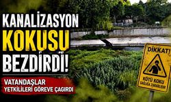 Kanalizasyon Kokusu Vatandaşı Canından Bezdirdi!