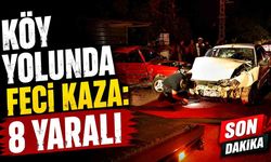 Köy yolunda feci kaza: 8 yaralı