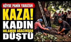 Ihlamur ağacından düşen kadın yaralandı