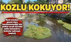 Kozlu kokuyor