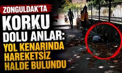 Zonguldak'ta korku dolu anlar: Yol kenarında hareketsiz halde bulundu