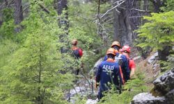 Merak ettikleri Kral Havuzu yolunda kayboldular