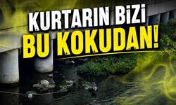 Kurtarın bizi bu kokudan!
