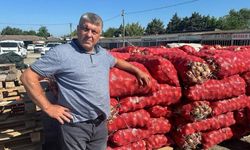 Kuru soğan çiftçinin yüzünü güldürdü