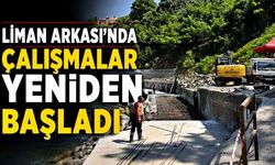 Zonguldak Liman Arkası'nda Çalışmalar Yeniden Başladı
