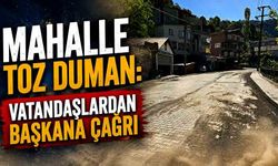 Mahalle toz duman: Vatandaşlardan başkana çağrı