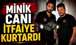 Mahsur kalan yavru kediyi itfaiye ekipleri kurtardı