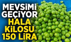Mevsimi geçiyor, hala kilosu 150 lira