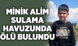 Minik Alim sulama havuzunda ölü bulundu