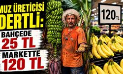 Muz üreticisi dertli: Bahçede 25 TL, markette 120 TL
