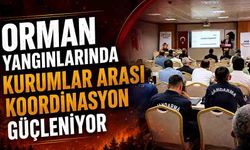 Halil Oflu: "Orman yangınlarında kurumlar arası koordinasyon güçleniyor"
