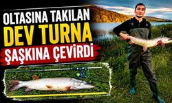 Oltasına takılan dev turna şaşkına çevirdi