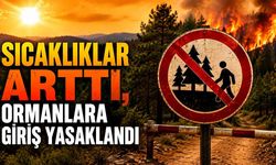 Sıcaklıklar arttı, ormanlara giriş yasaklandı