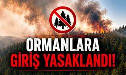 Ormanlara giriş 5 ay yasaklandı!