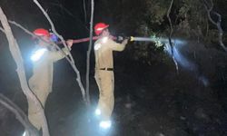 Ormanlık alandaki yangın büyümeden söndürüldü