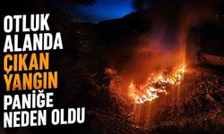 Otluk alanda çıkan yangın paniğe neden oldu